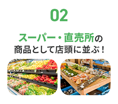 スーパー・直売所の商品として店頭に並ぶ！